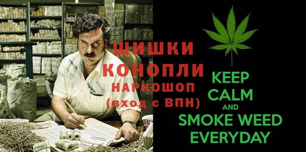 молекула духа Кинешма