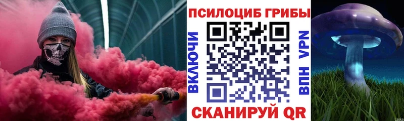 Галлюциногенные грибы прущие грибы  Чудово 